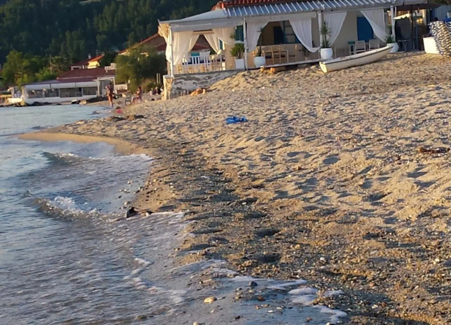Theo Apartment In The Palm Trees Skala Fourkas Greece