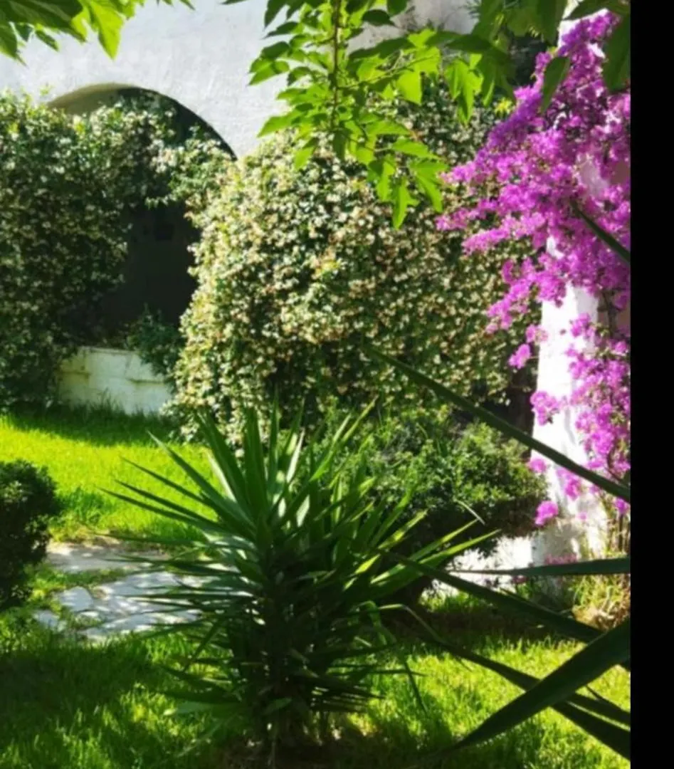 Theo Apartment In The Palm Trees Skala Fourkas